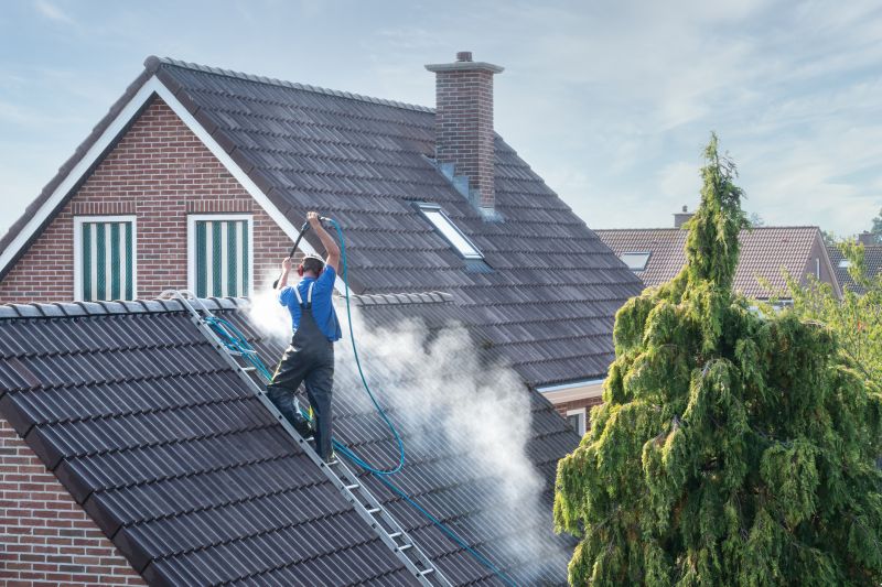 Townhouse Roof Cleaning Service