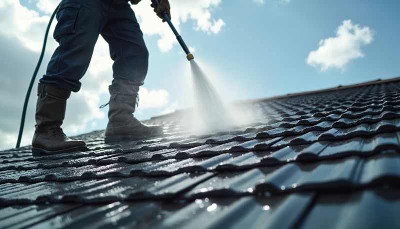 Roof Mildew Removal