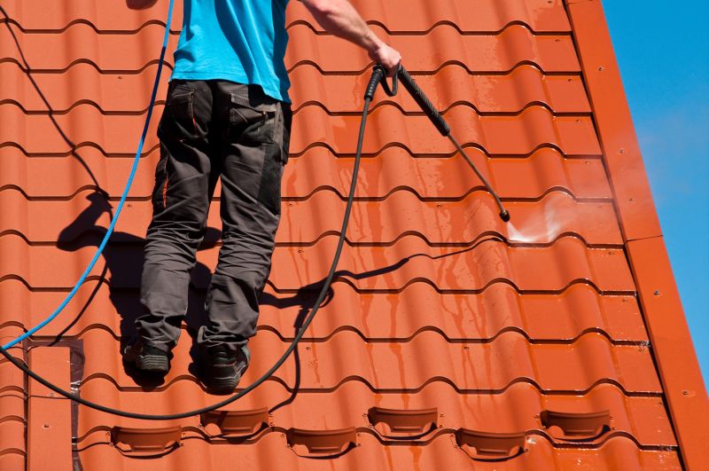 Tile Roof Cleaning