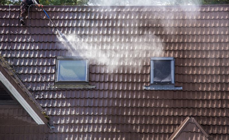 Townhouse Roof Cleaning detail