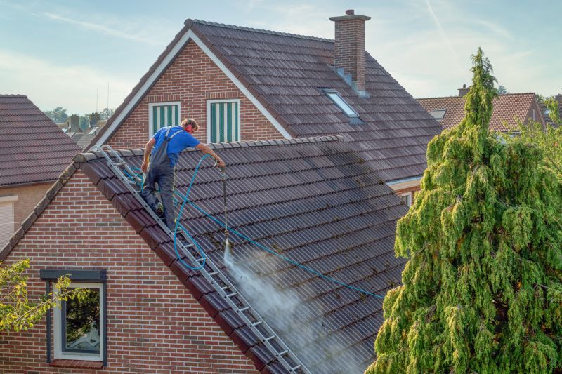 Townhouse Roof Cleaning detail