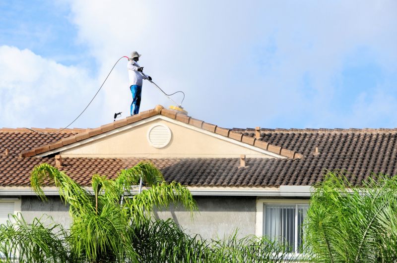 Townhouse Roof Cleaning detail